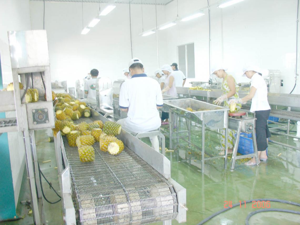 Cụm Đục Gọt Dứa