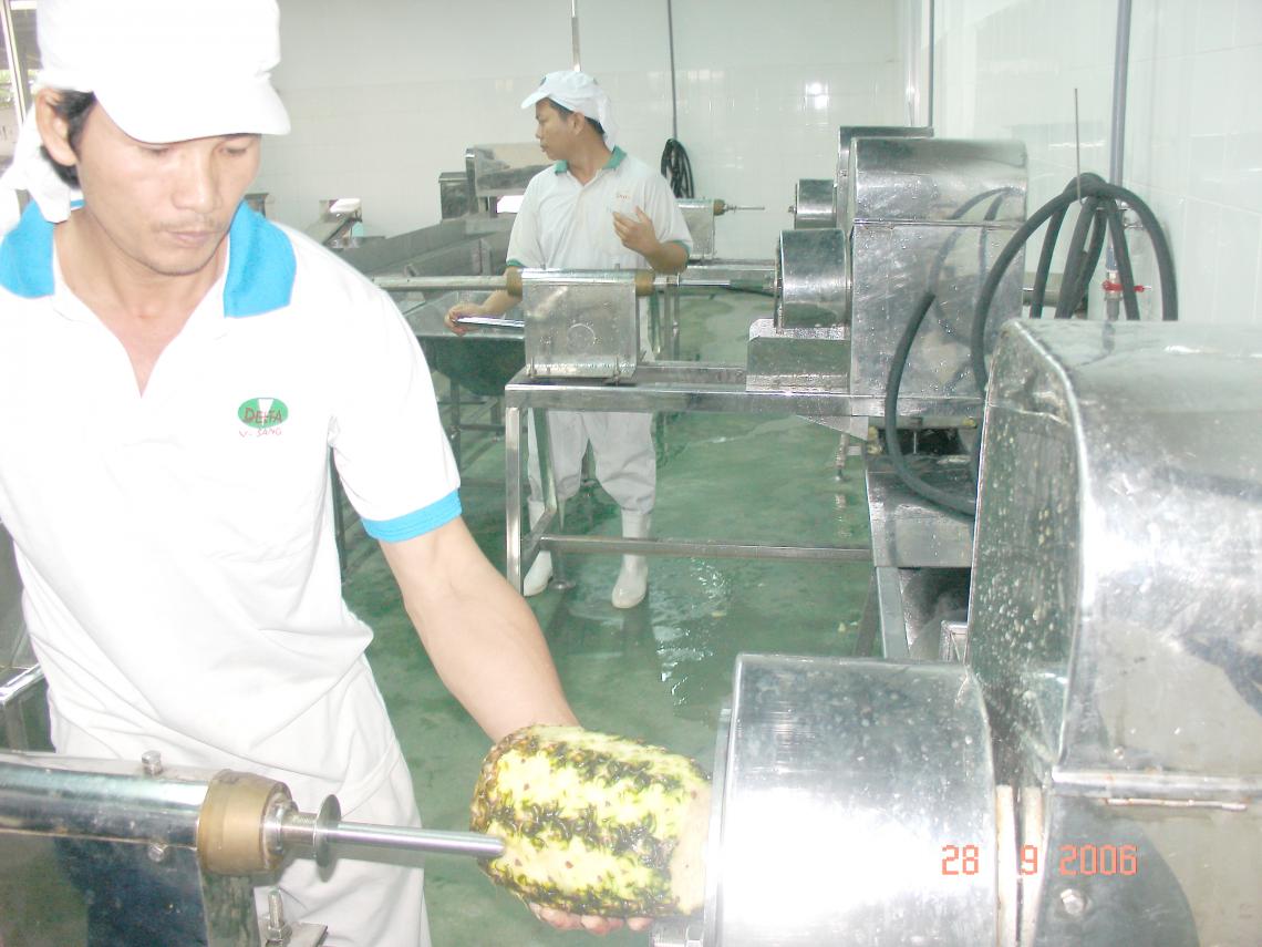 Máy Gọt Vỏ Dứa