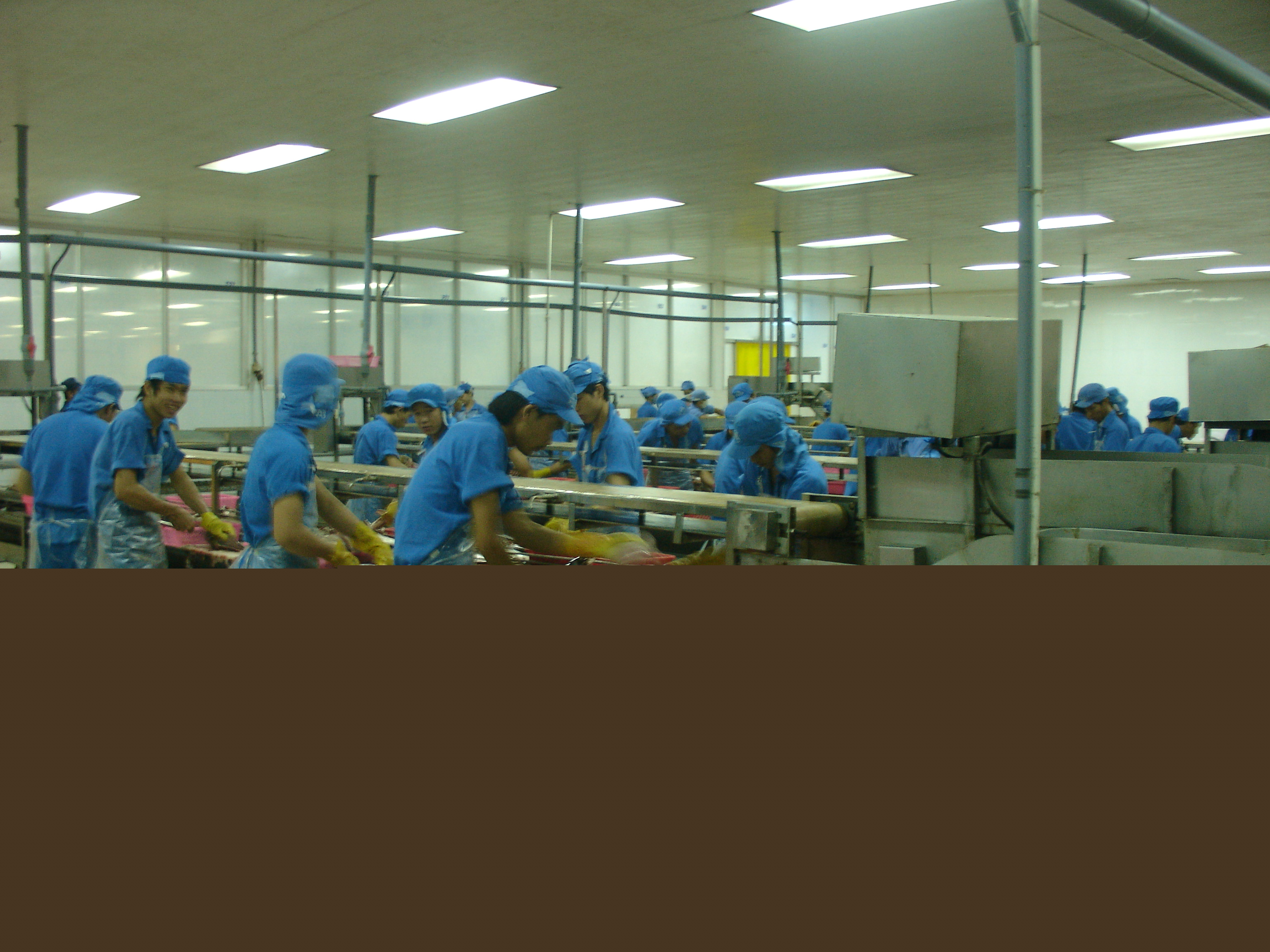 Dây Chuyền Chế Biến Cá Tra